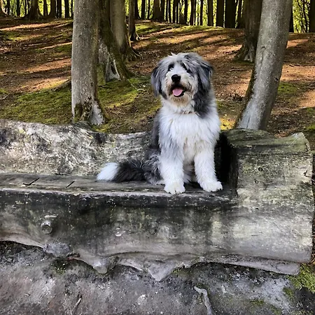 Sehnsucht Rügen Sellin (Rugen)